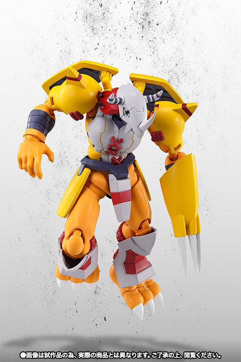 Bandai Tamashii Nations Wargreymon "Digimon S.H Figuarts" Action Figure